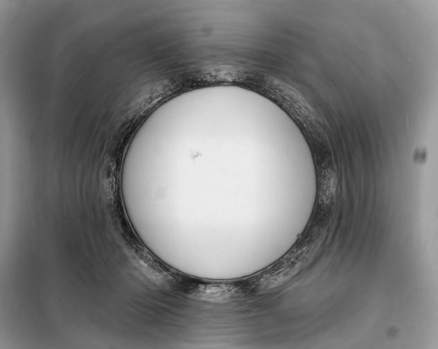 X0000098210414200805081139