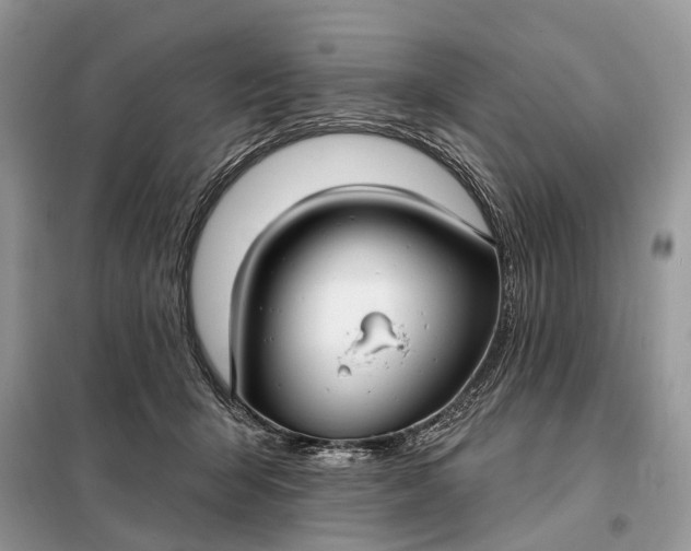 X0000098210415200805081139