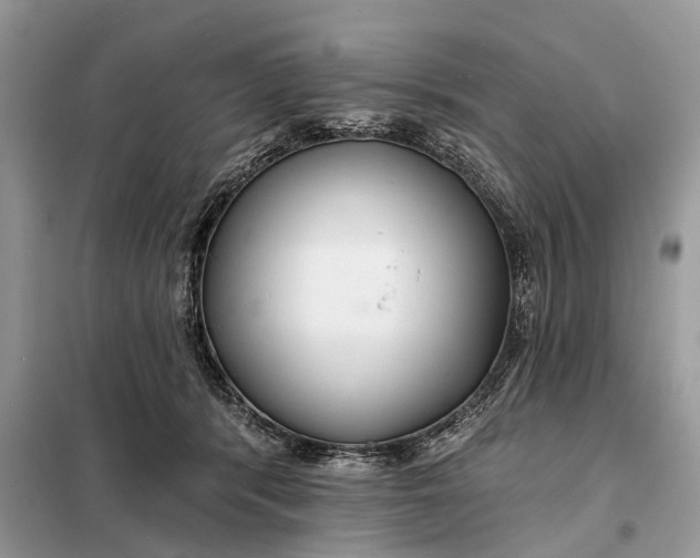 X0000098210416200805081139