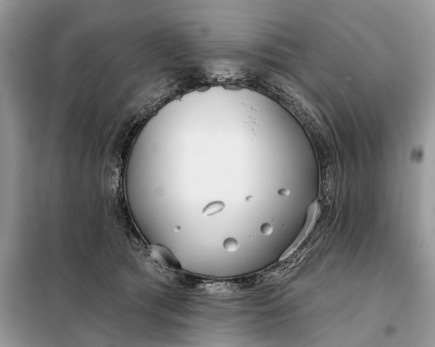 X0000098210417200805081139