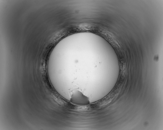 X0000098210418200805081139