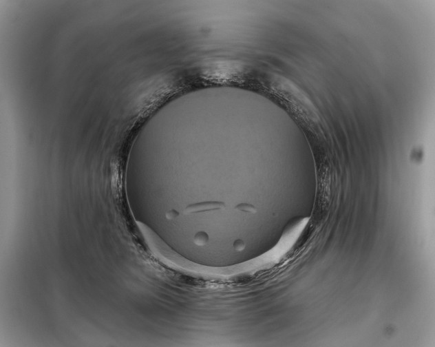 X0000098210420200805081139