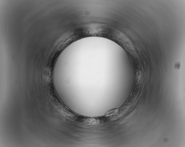X0000098210421200805081139