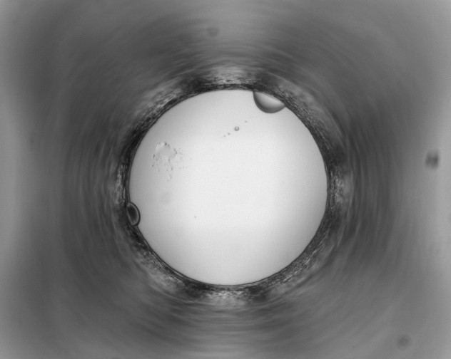 X0000098210422200805081139