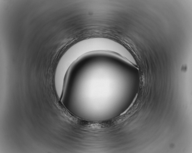X0000098210423200805081139