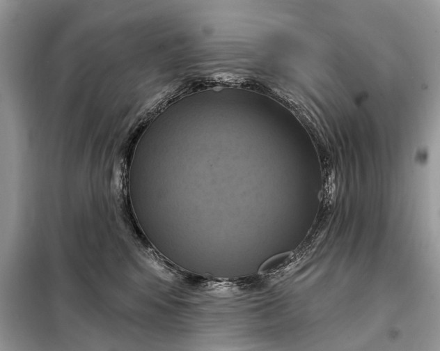 X0000098210424200805081139