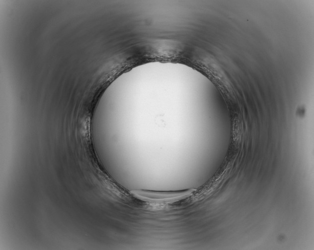 X0000098210425200805081139