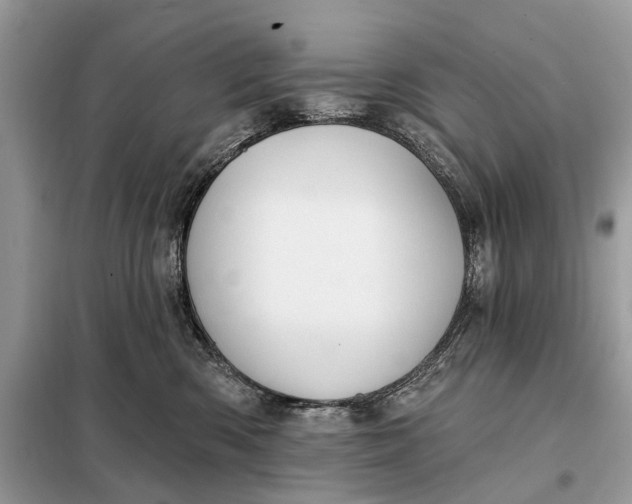 X0000098210426200805081139