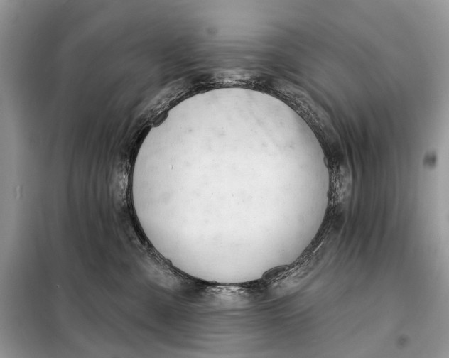 X0000098210427200805081139