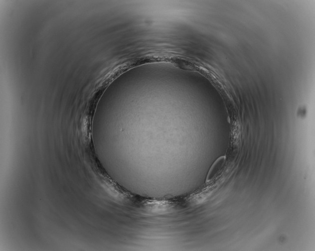 X0000098210428200805081139