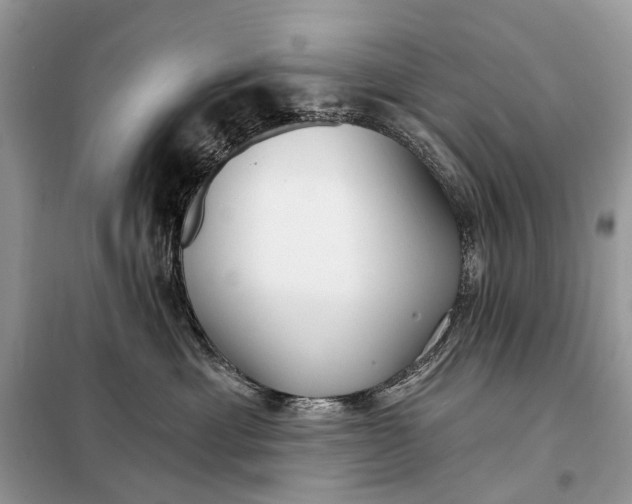 X0000098210429200805081139