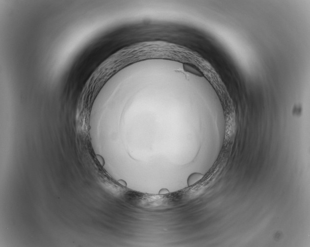 X0000098210431200805081139
