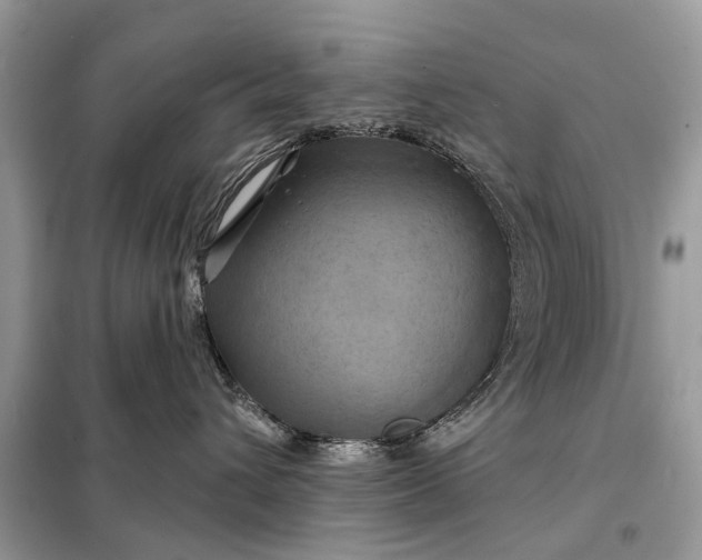 X0000098210432200805081139