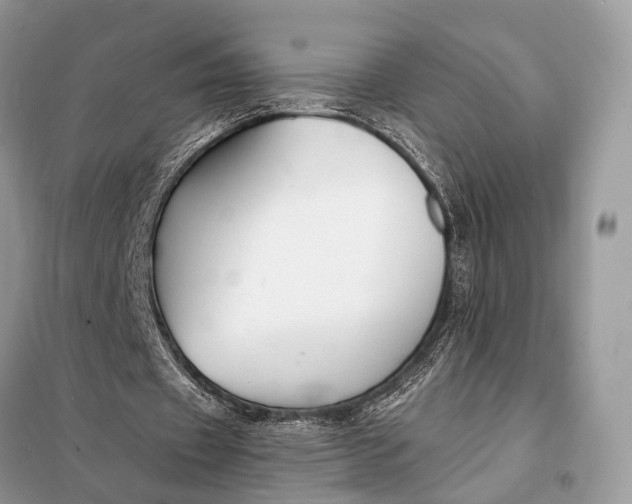 X0000098210433200805081138