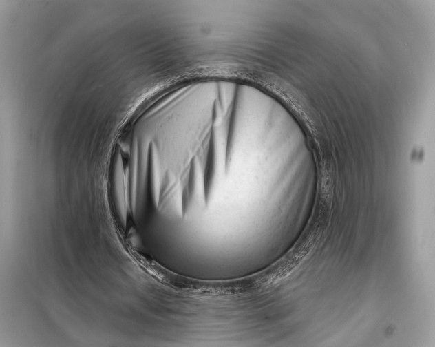 X0000098210434200805081138