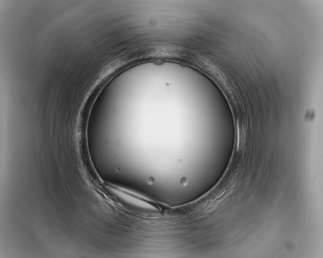 X0000098210435200805081138