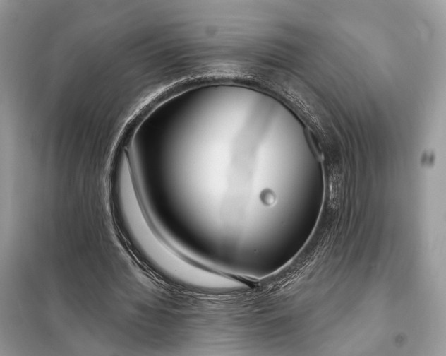X0000098210436200805081138