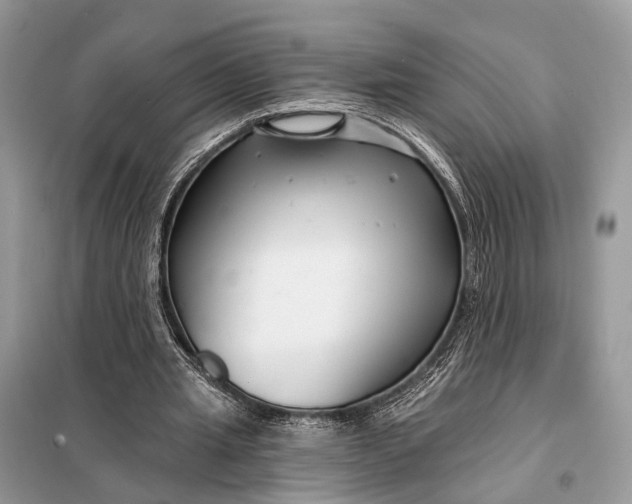 X0000098210437200805081138