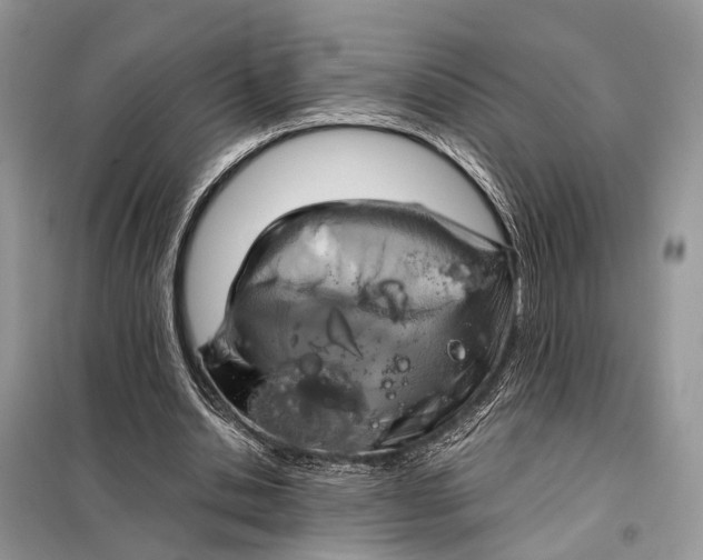 X0000098210438200805081138