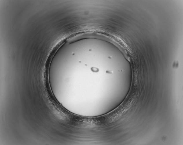 X0000098210439200805081138
