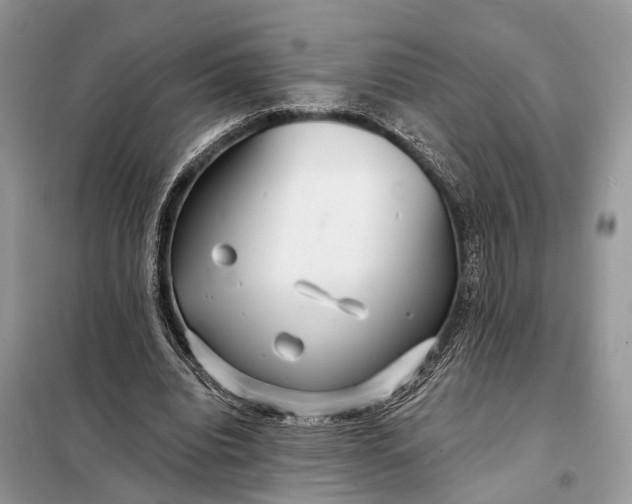 X0000098210440200805081138