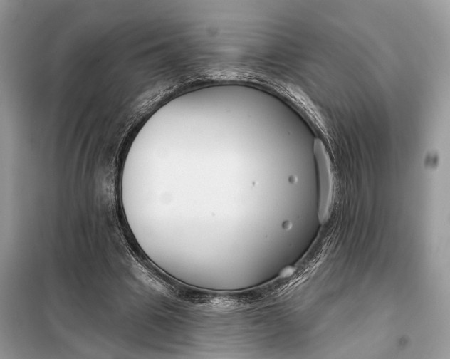X0000098210441200805081138