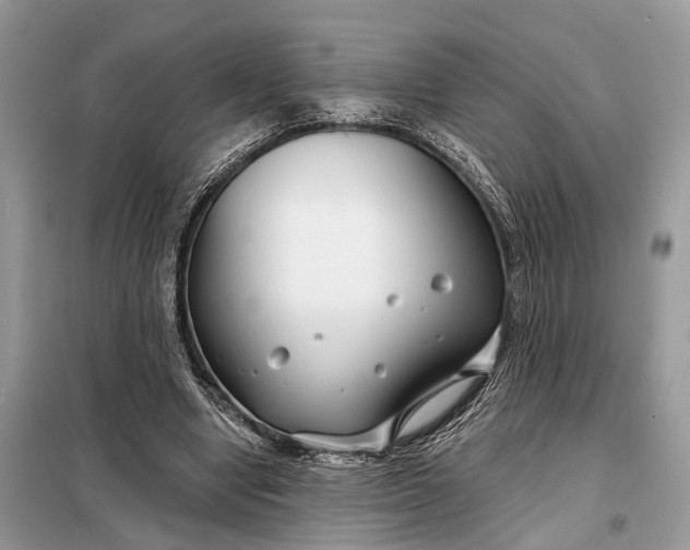 X0000098210442200805081138