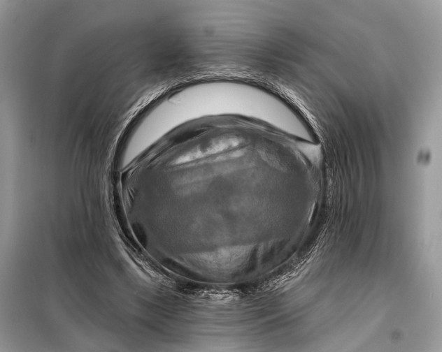 X0000098210443200805081138