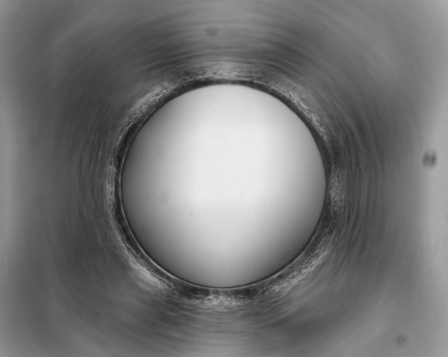 X0000098210445200805081138