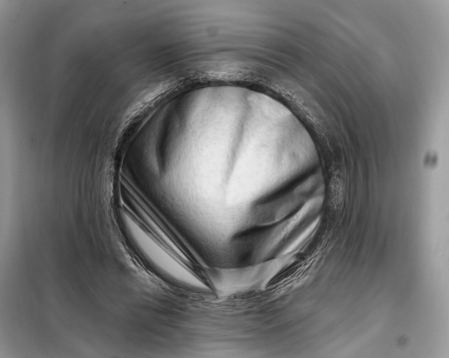 X0000098210446200805081138