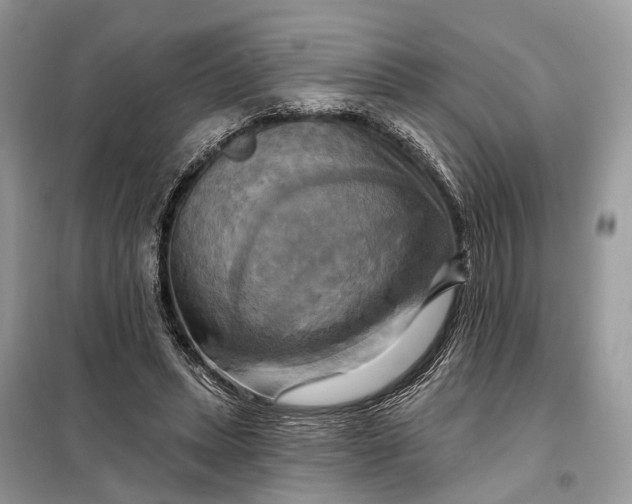 X0000098210447200805081138