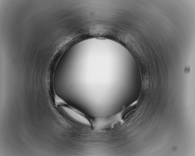 X0000098210448200805081138