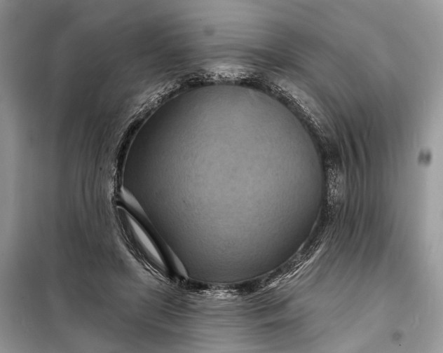 X0000098210451200805081138