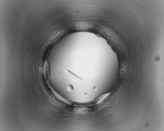 X0000098210452200805081138