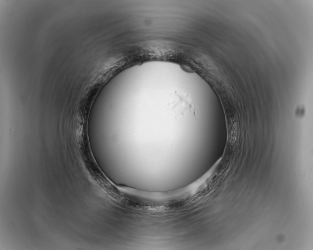 X0000098210456200805081138