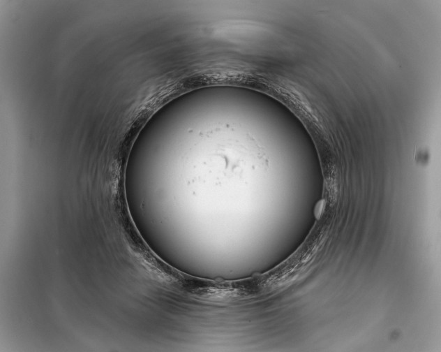 X0000098210458200805081138