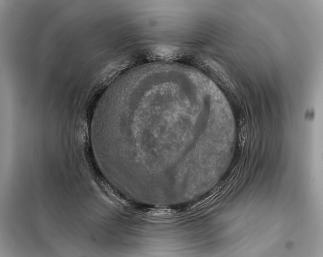 X0000098210459200805081138