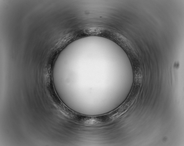 X0000098210460200805081138