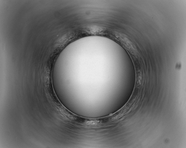 X0000098210461200805081139