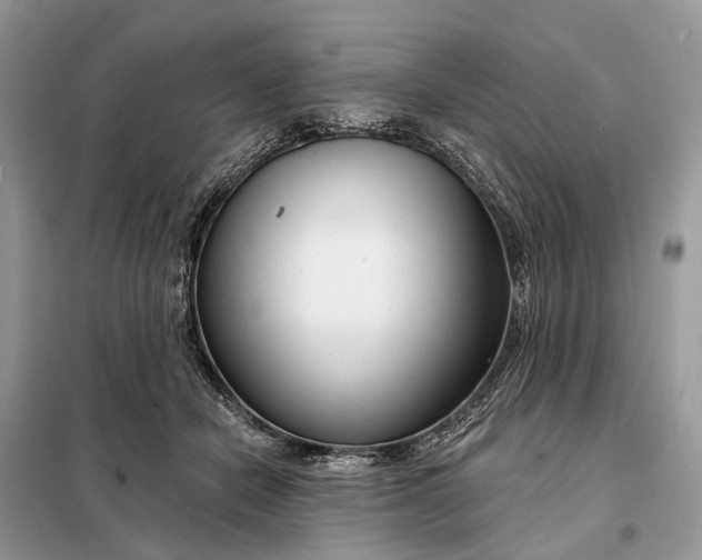 X0000098210462200805081139