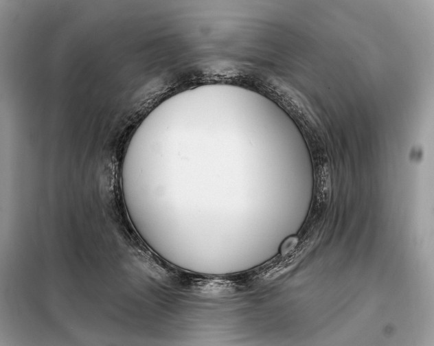 X0000098210463200805081139
