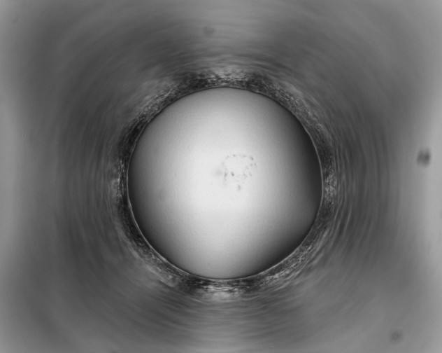 X0000098210464200805081139
