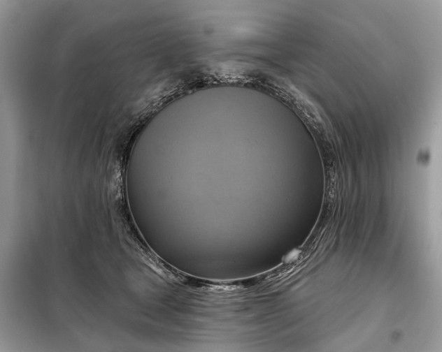 X0000098210465200805081139
