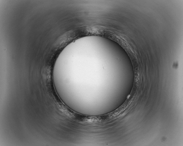 X0000098210466200805081139