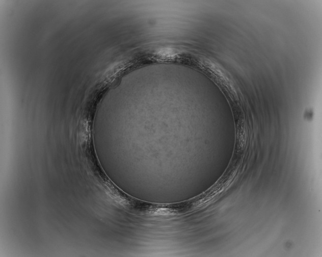 X0000098210467200805081139