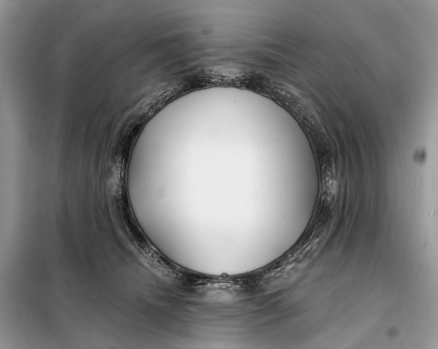 X0000098210468200805081139