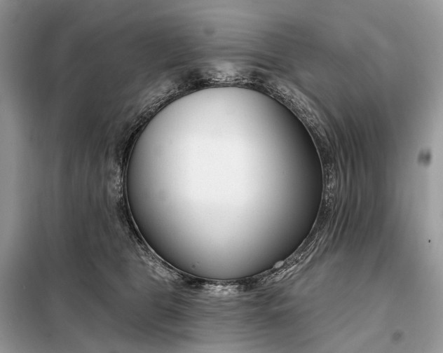 X0000098210469200805081139