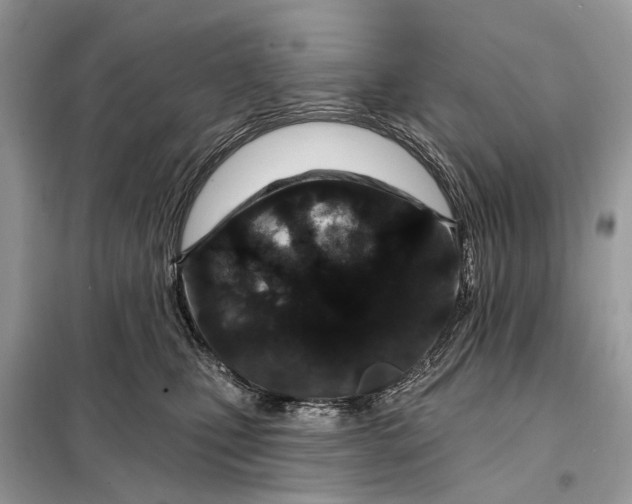 X0000098210471200805081139