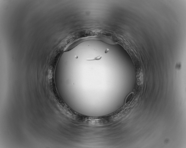 X0000098210472200805081139