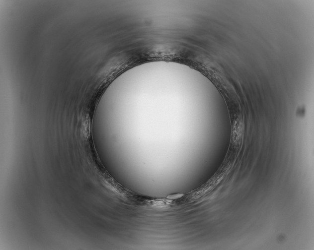X0000098210474200805081139